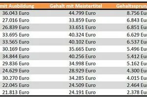 handwerk.com / Quelle: gehalt.de